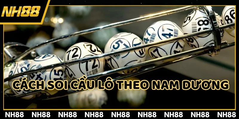 Tìm hiểu về phương pháp soi cầu nam dương